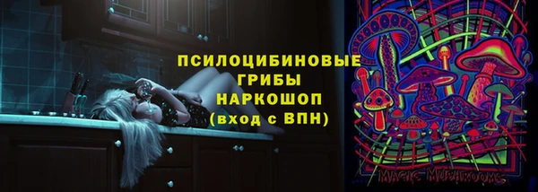 молекула духа Алексин