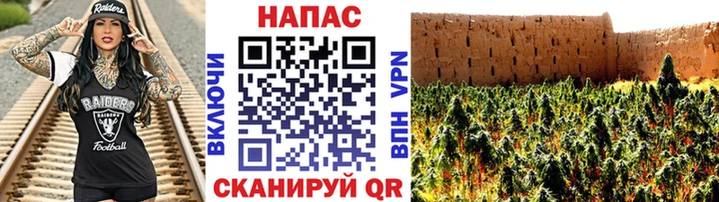 Канабис план Сасово